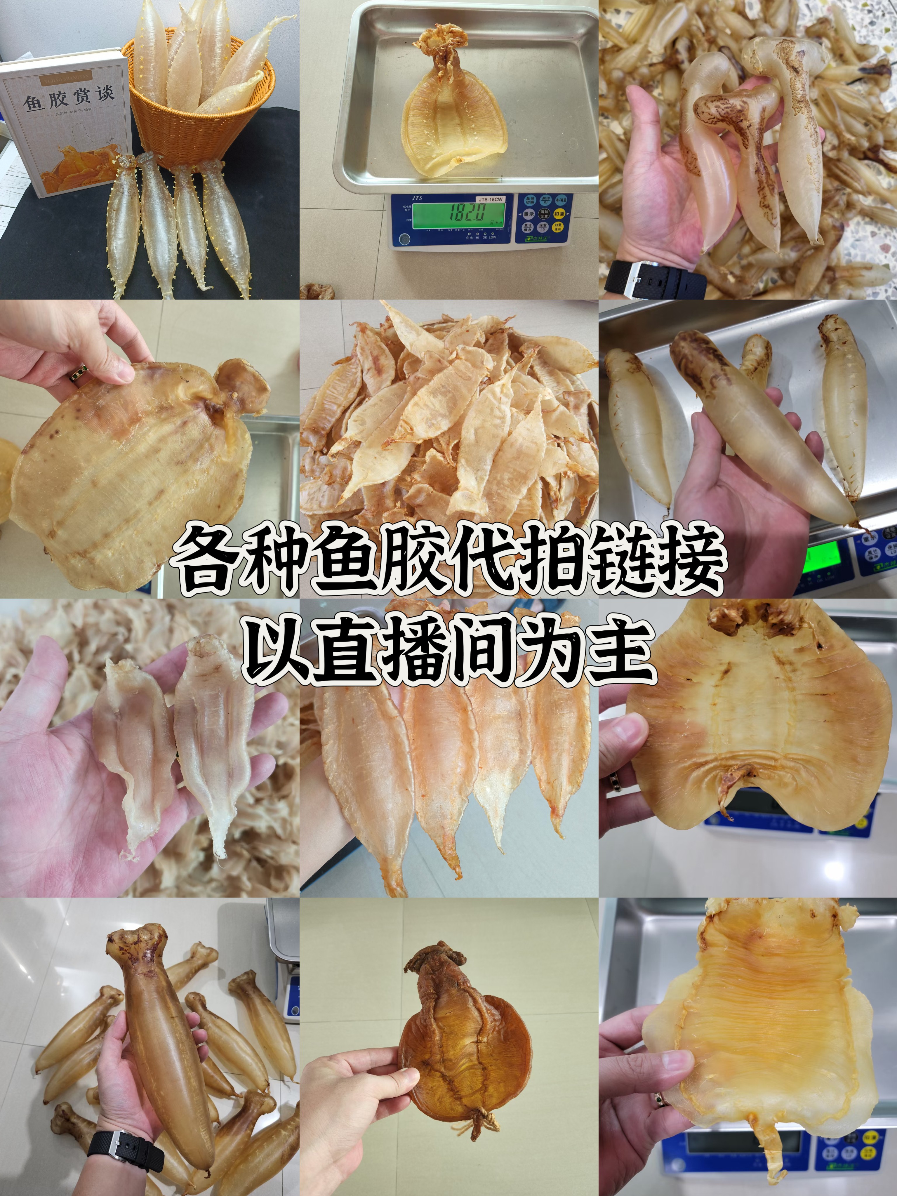 【南澳海岛珍品】任何鱼胶代拍链接