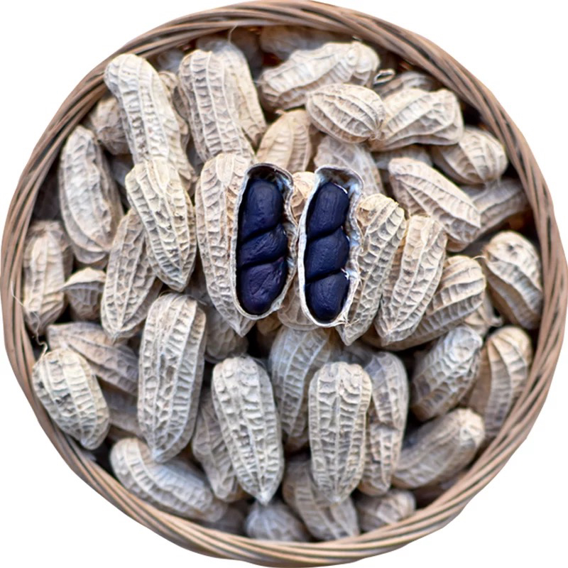 2025年新货云南黑花生老品种带壳薄壳小粒可做种子生的花生山货