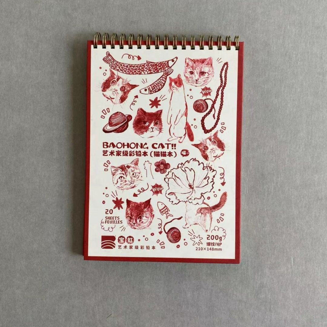 艺术家级彩铅本200g细纹20张/本