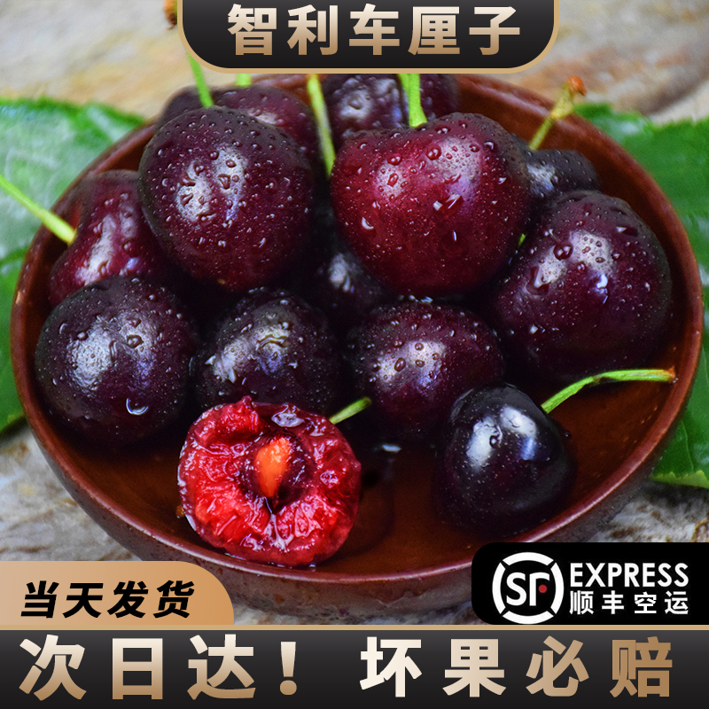 【5斤装原箱顺丰】智利新鲜车厘子桑提娜顺丰空运进口J-5JD送人送礼