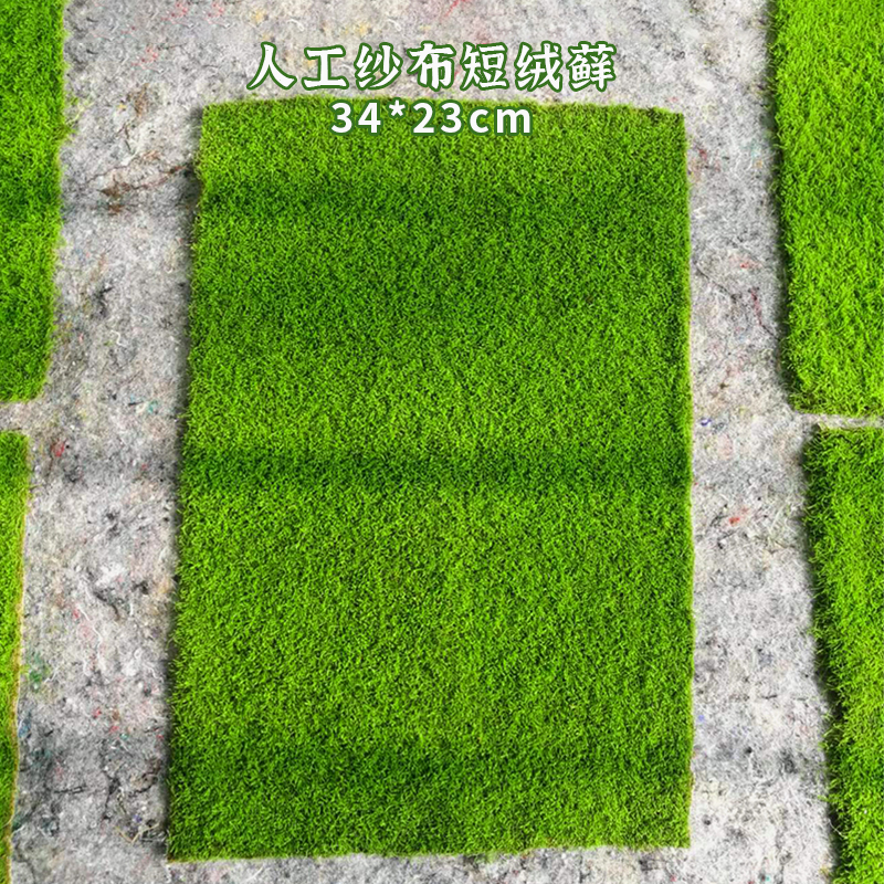 鲜活纱布短绒藓，造景微景观铺面室内外大小盆景缸景美化保湿植物。
