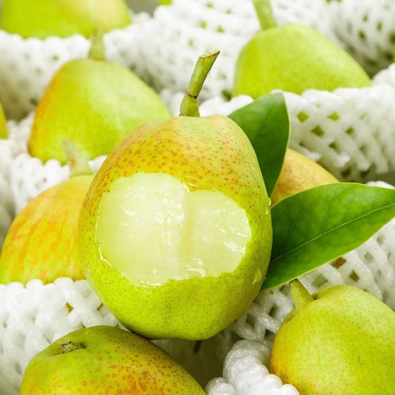（新疆直发）源自新疆库尔勒香梨皮薄水分足脆甜多汁孕妇水果5斤装