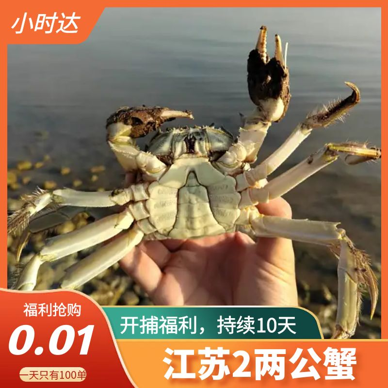 江苏精品1.5-2.0两公蟹