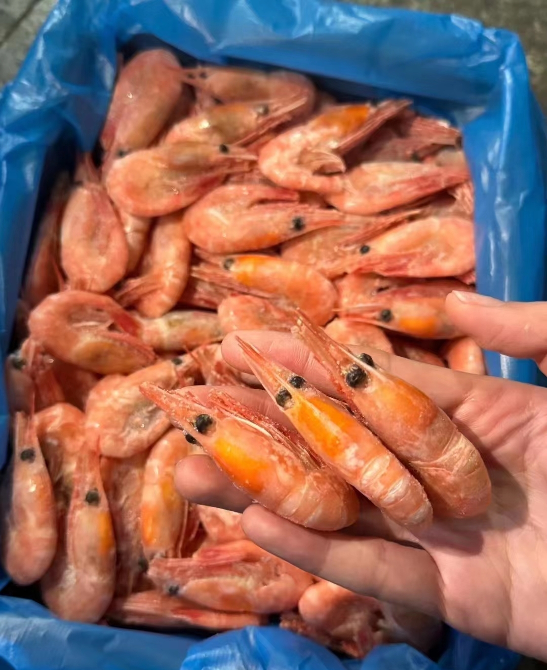 甜虾一件10斤装268元