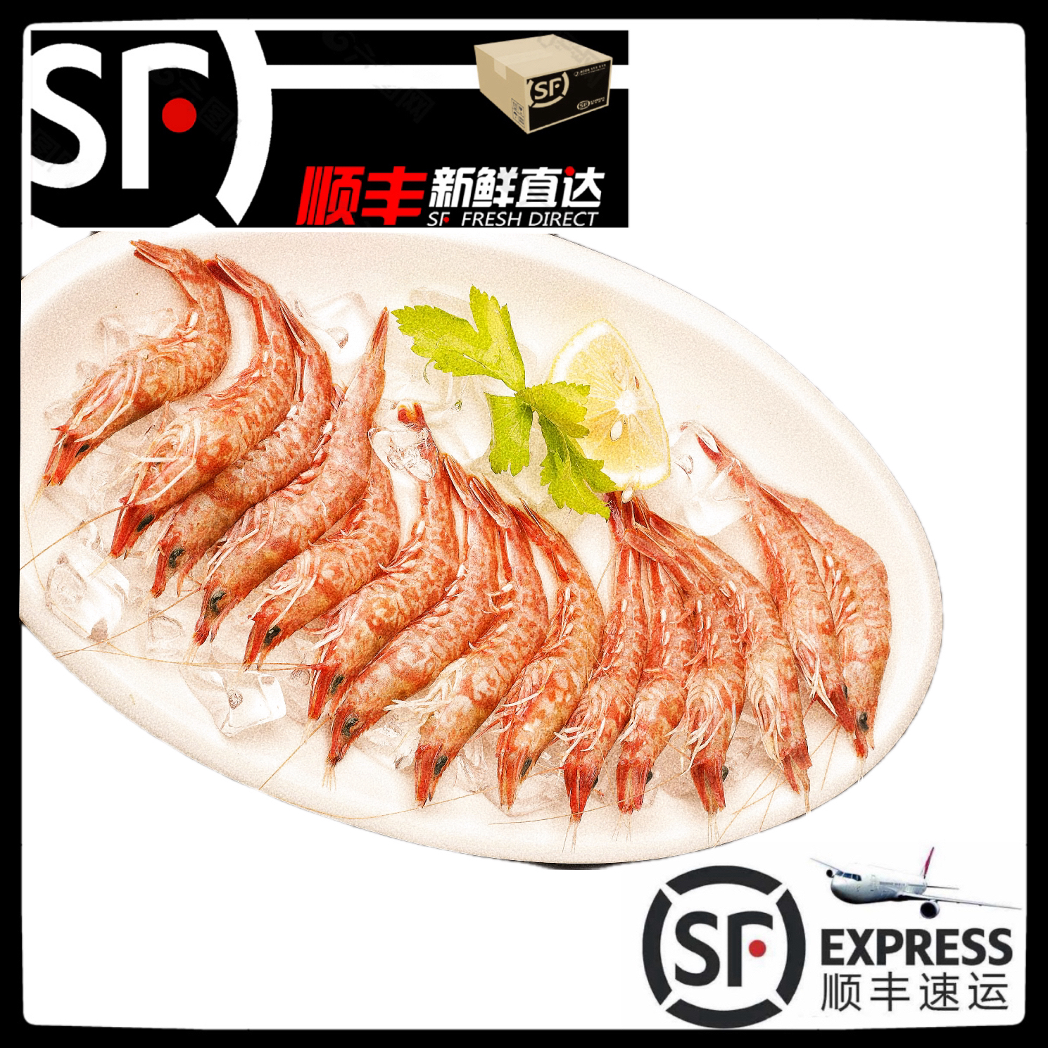 【樱花虾】惠来神泉港活冻狗虾/九虾【5盒】肉质鲜甜需去虾线顺丰包邮