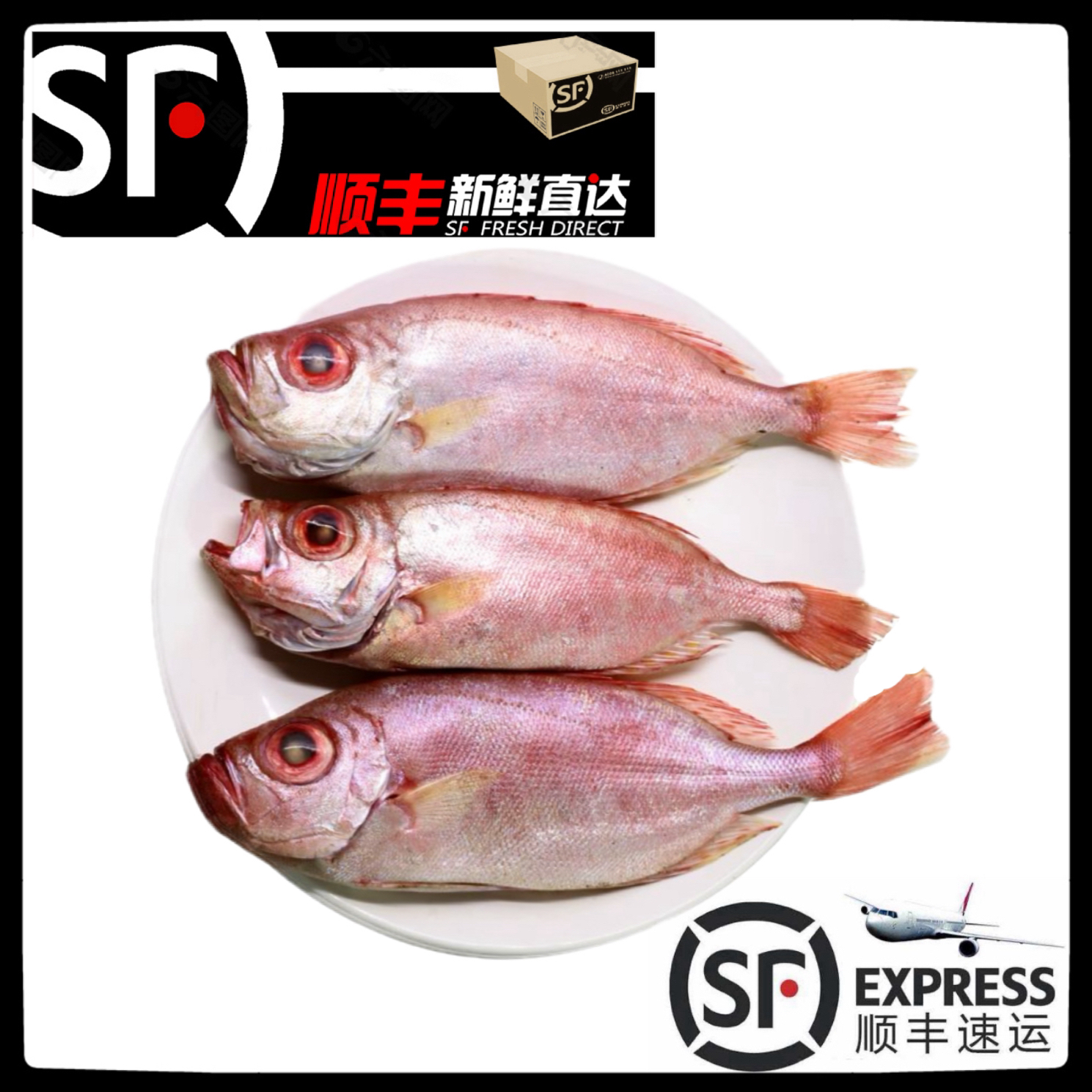 【红目鲢】惠来神泉港本港红目鲢大眼鱼【5盒】新鲜现捕速冻锁鲜冷链