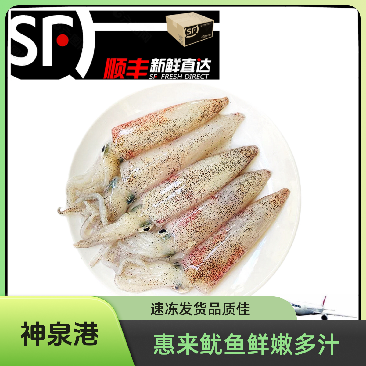 【赤皮鱿鱼】惠来神泉港赤皮灯照鱿鱼5盒真空速冻优选现捕冷链发货