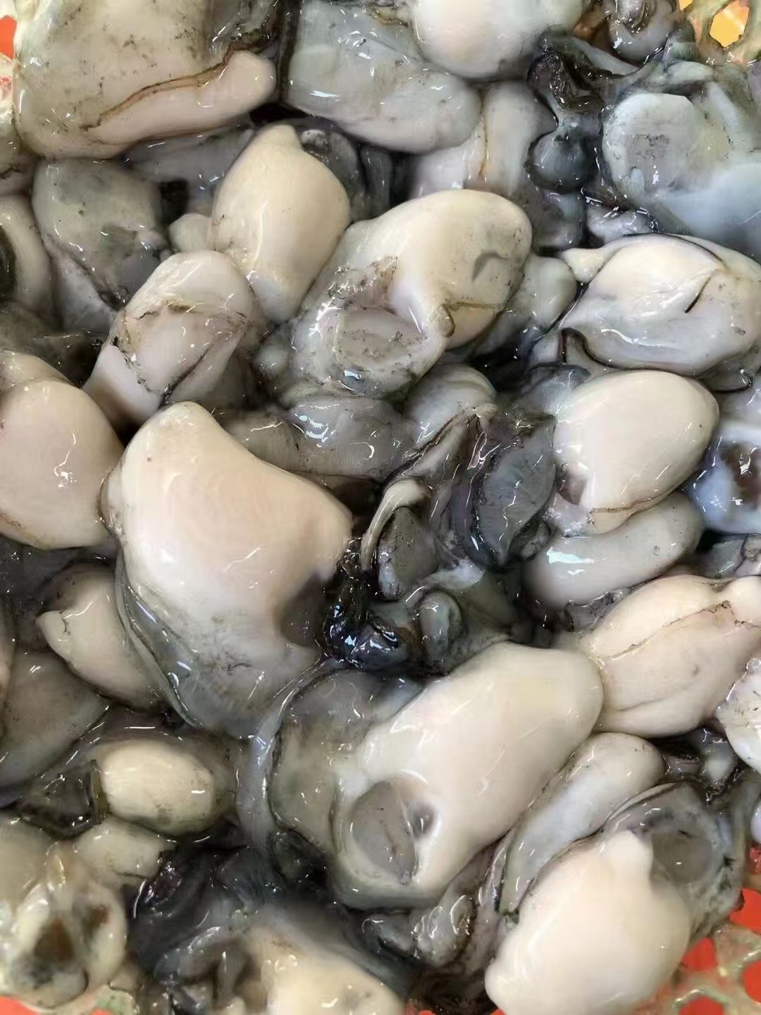 蚝仔生鲜有家超市小时达潮八生蚝囡囡生蚝生蚝制品