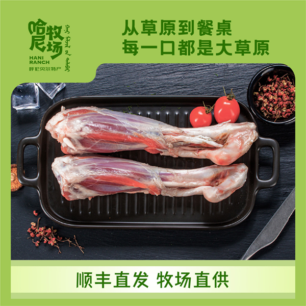 内蒙古呼伦贝尔草原散养奶香羔羊肉原切精修羊小腿煲汤鲜嫩450g