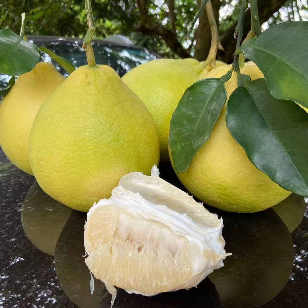 正宗沙田柚容县沙田柚广西特产水果纯甜无酸白肉柚子孕妇水果