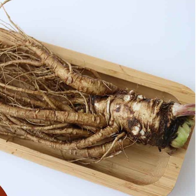 甘肃岷县新鲜当归500克包邮新货刚刚采挖的没洗