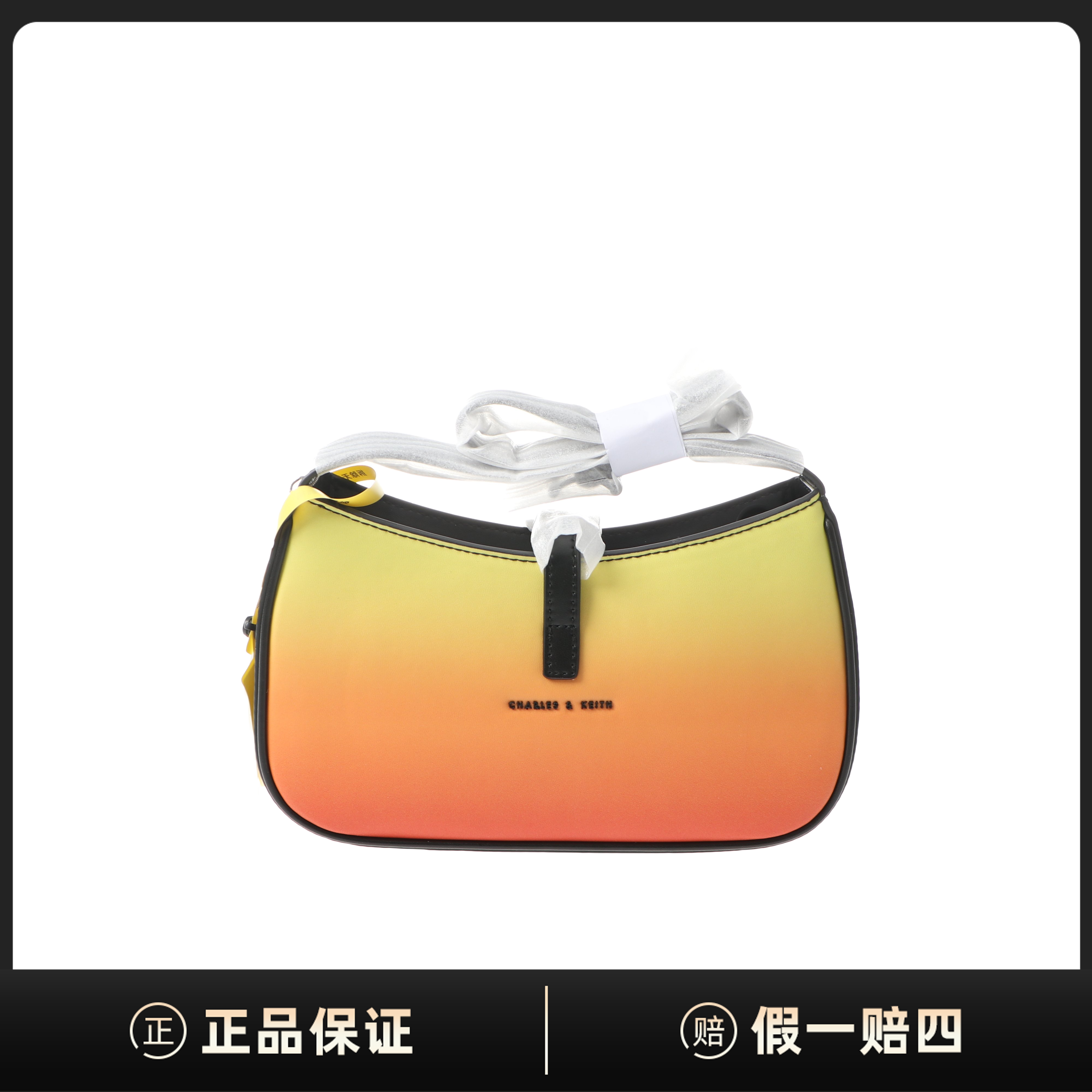 全新未使用 CHARLES & KEITH 斜挎包/22*15*6/DF00009