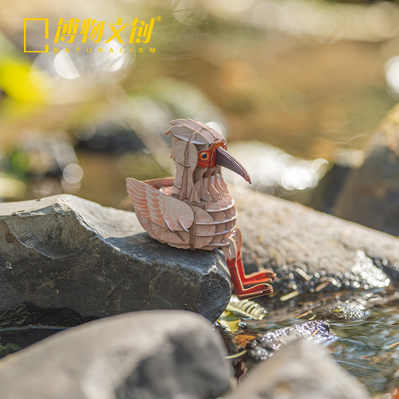 中国国家地理为自然发声的小鸟立体拼插纸模 原创彩色会发声礼物