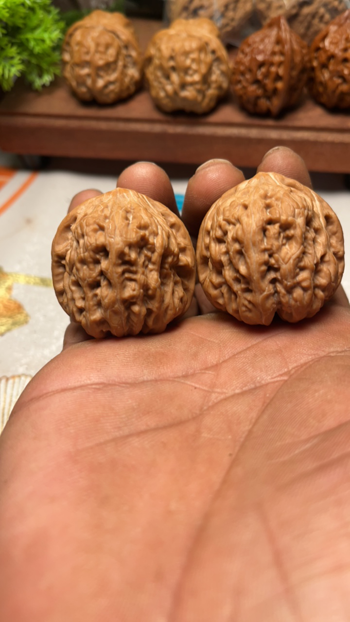 39千佛山狮子头肚40高38