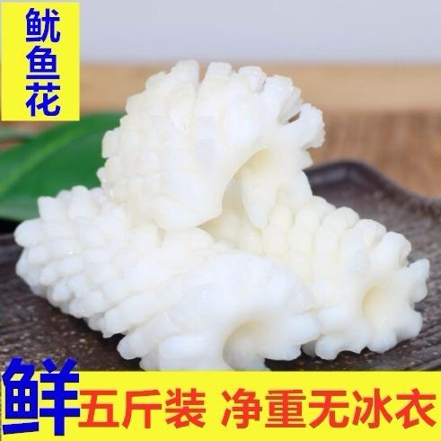 新鲜【鱿鱼花5斤装】目鱼花海鲜鱿鱼冷冻鱿鱼卷去皮鱿鱼丝一斤