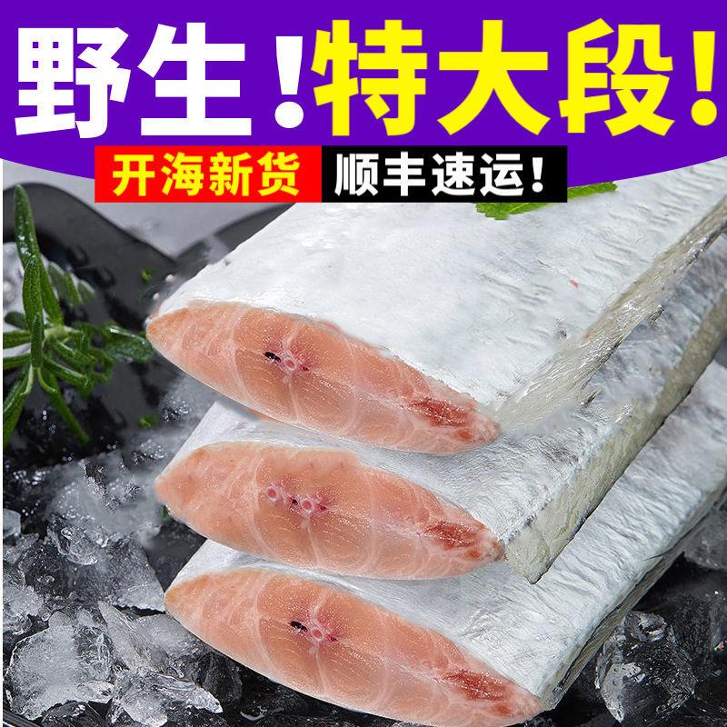 【冷链运输】东海带鱼段大段野生带鱼段小眼带鱼刀鱼批发海鲜水产