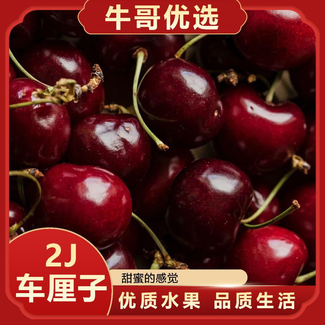 【年货节】智利Regina瑞姬娜2J车厘子5斤/1箱