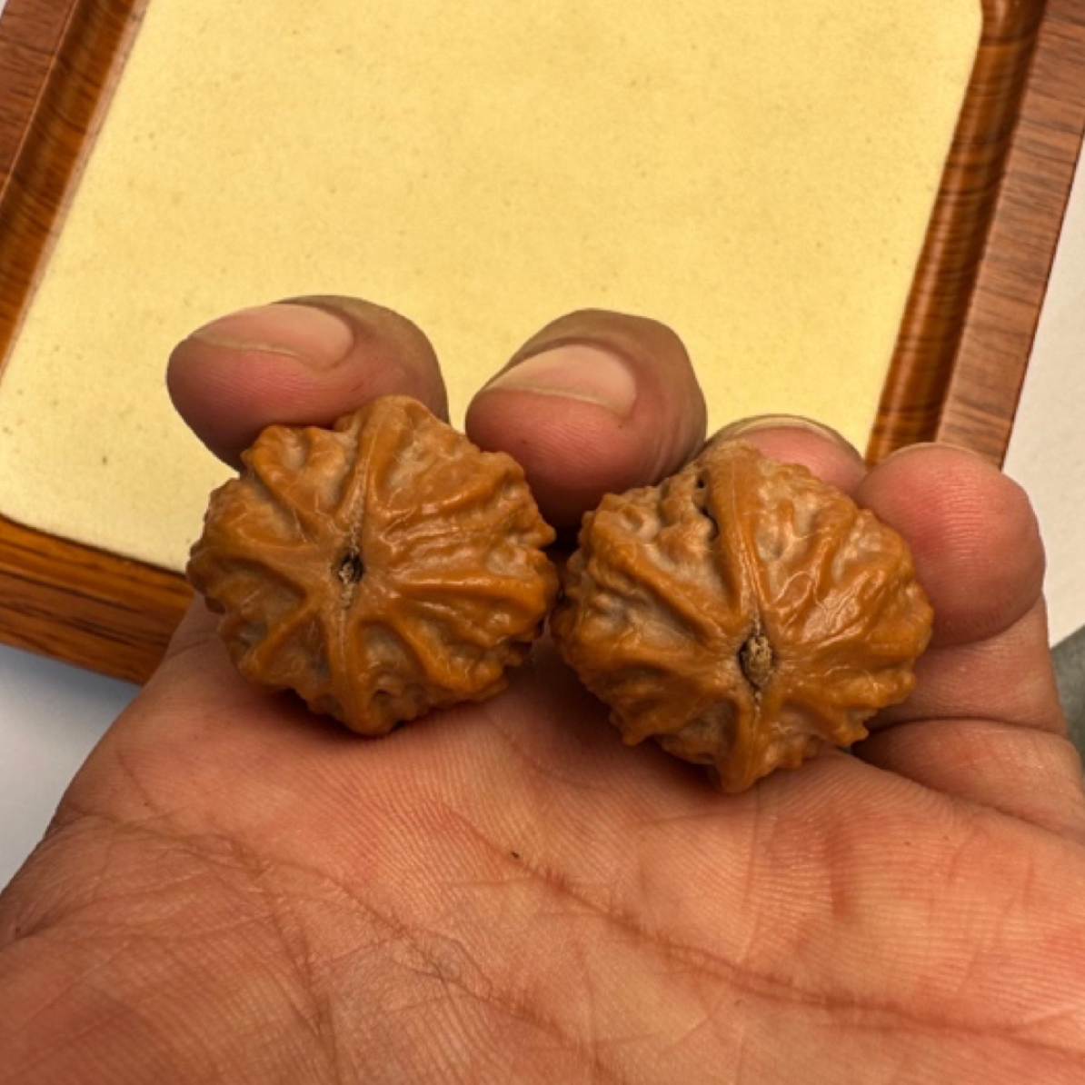 麻核桃粗筋八愣小手捻核桃