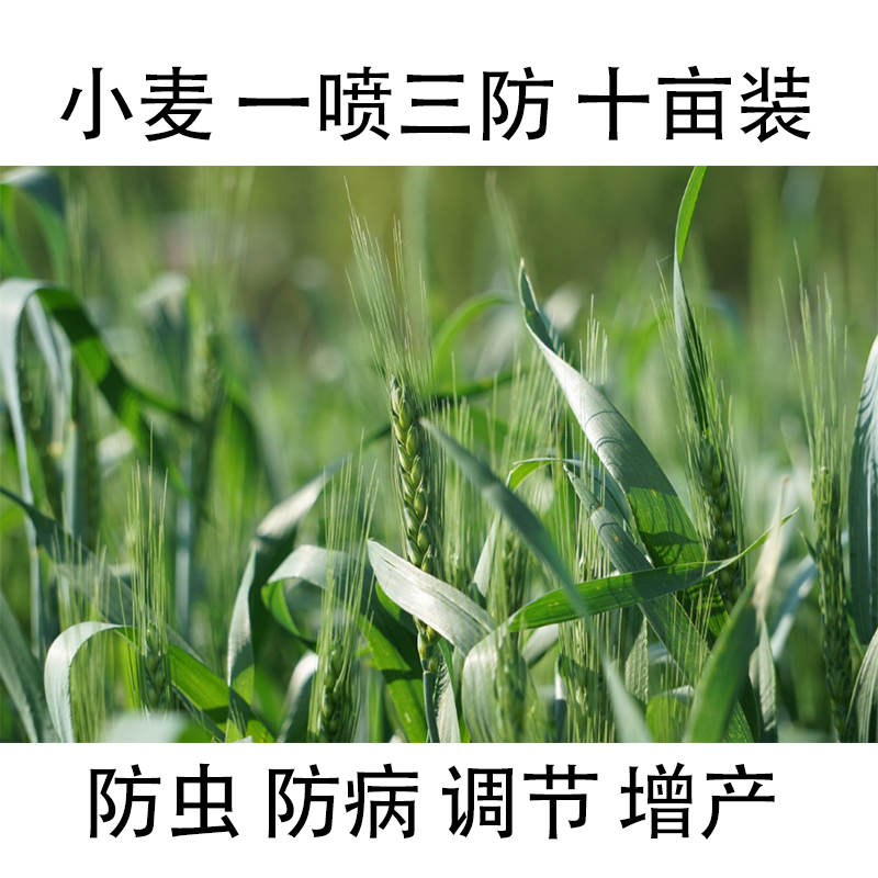 小麦田一喷三防套装