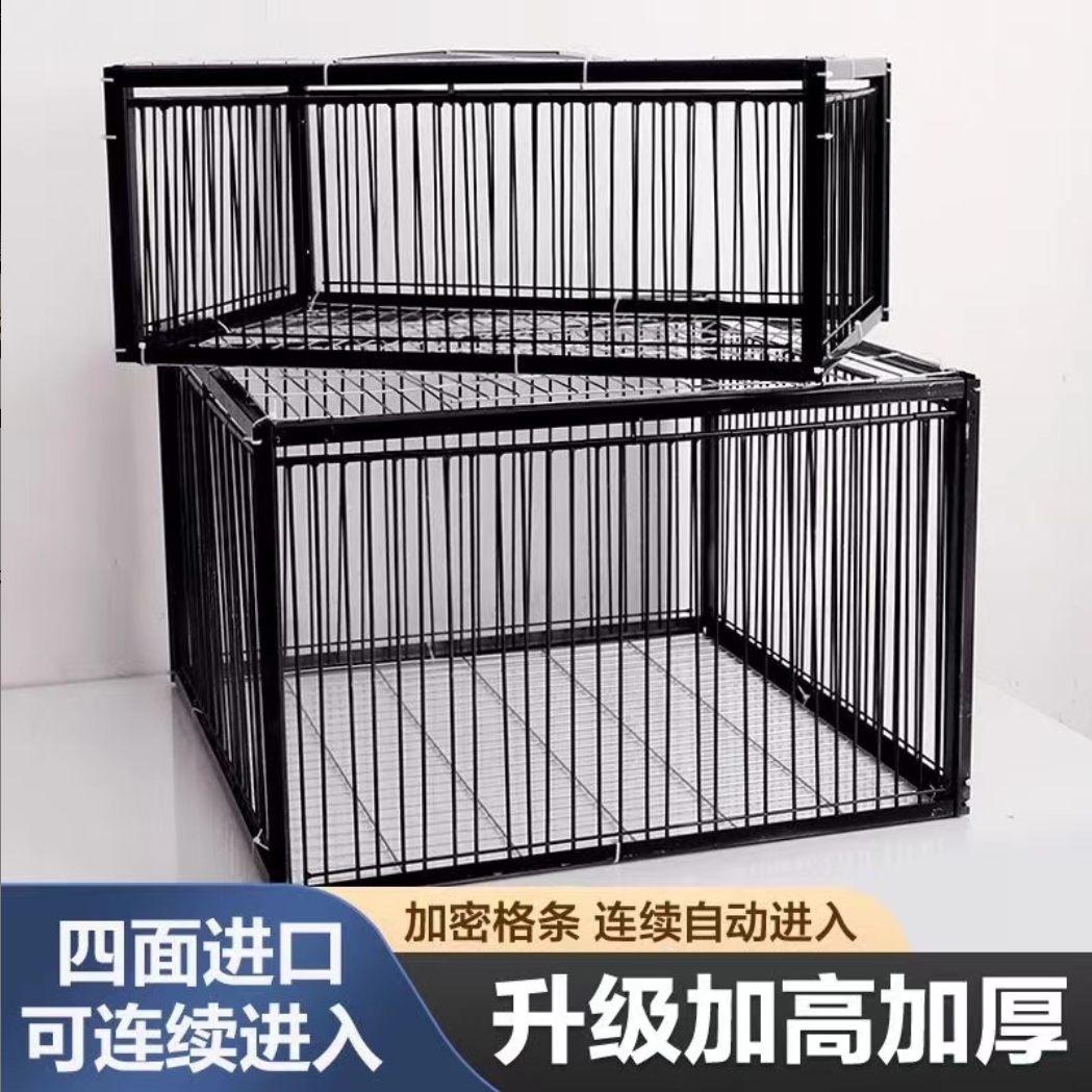 鸽子笼只进不出自动收鸽子神器天落笼加密收鸽笼活络门撞门笼户外