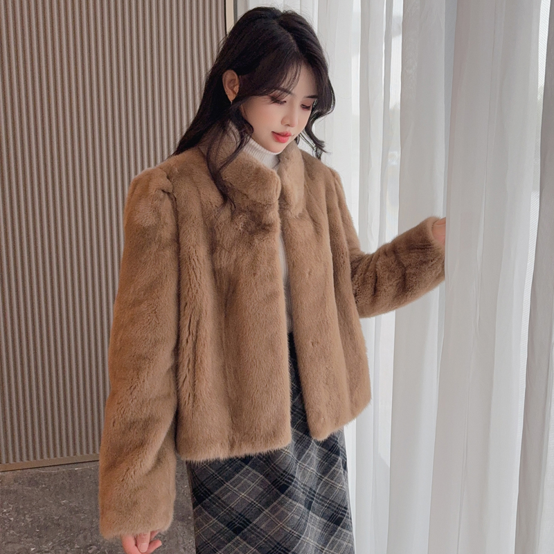立领貂皮大衣女整貂皮草进口冬季天鹅绒小母貂短款水貂小个子年轻