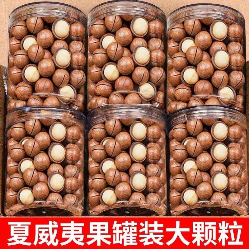 新货夏威夷果奶油味大颗粒批发坚果含罐装孕妇儿童零食年货6g美味