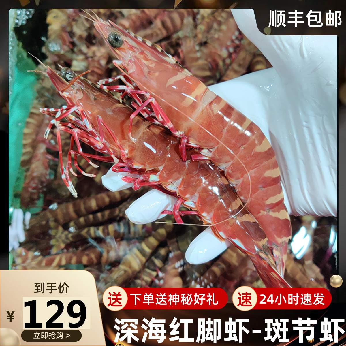 北海红脚虾斑节虾鲜活特大虎虾鬼虾海捕大海虾超大新鲜速冻黑虎虾