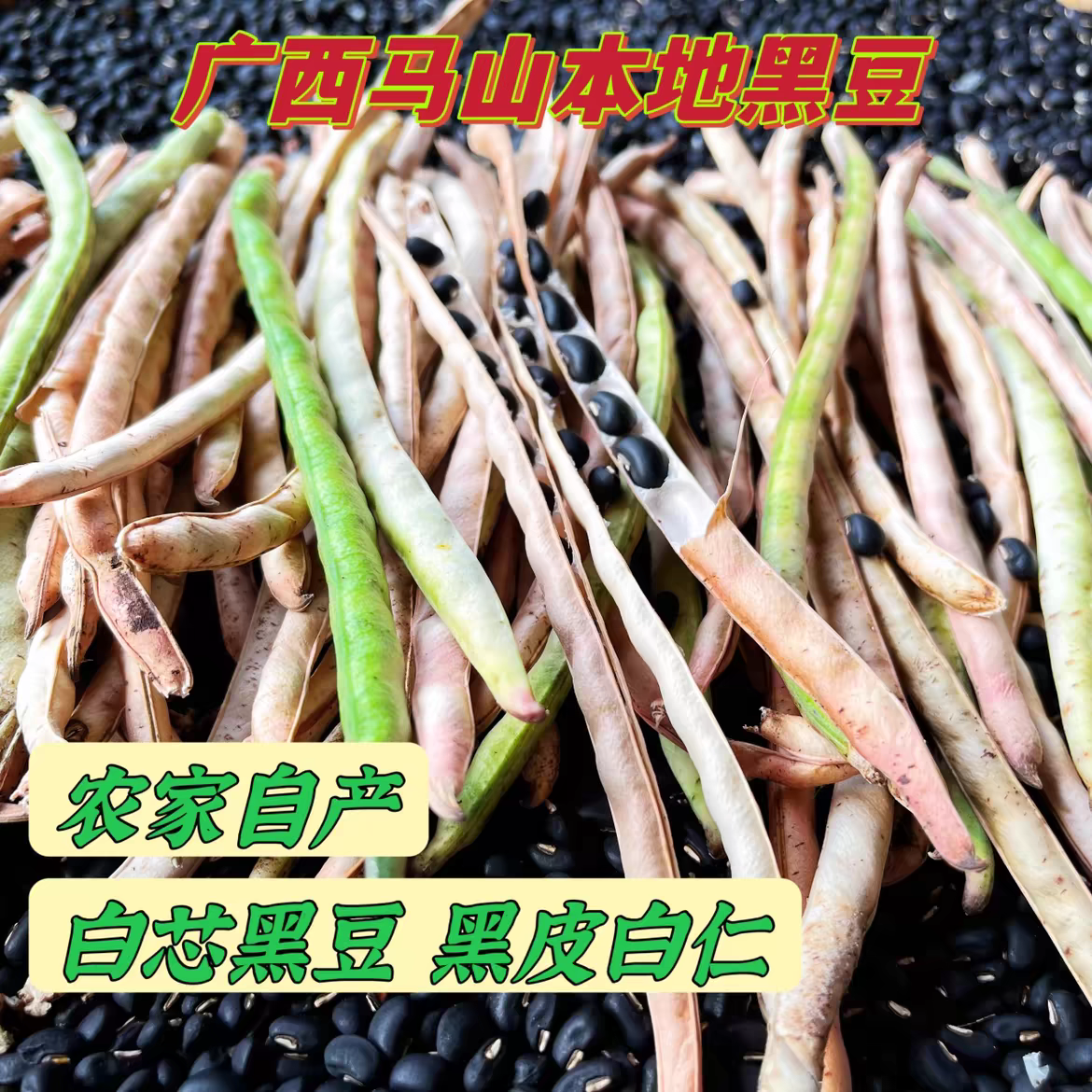 马山特产农家自种土黑豆肾型老品种黑饭豆白芯黑豆煲汤食用2斤起拍杂粮