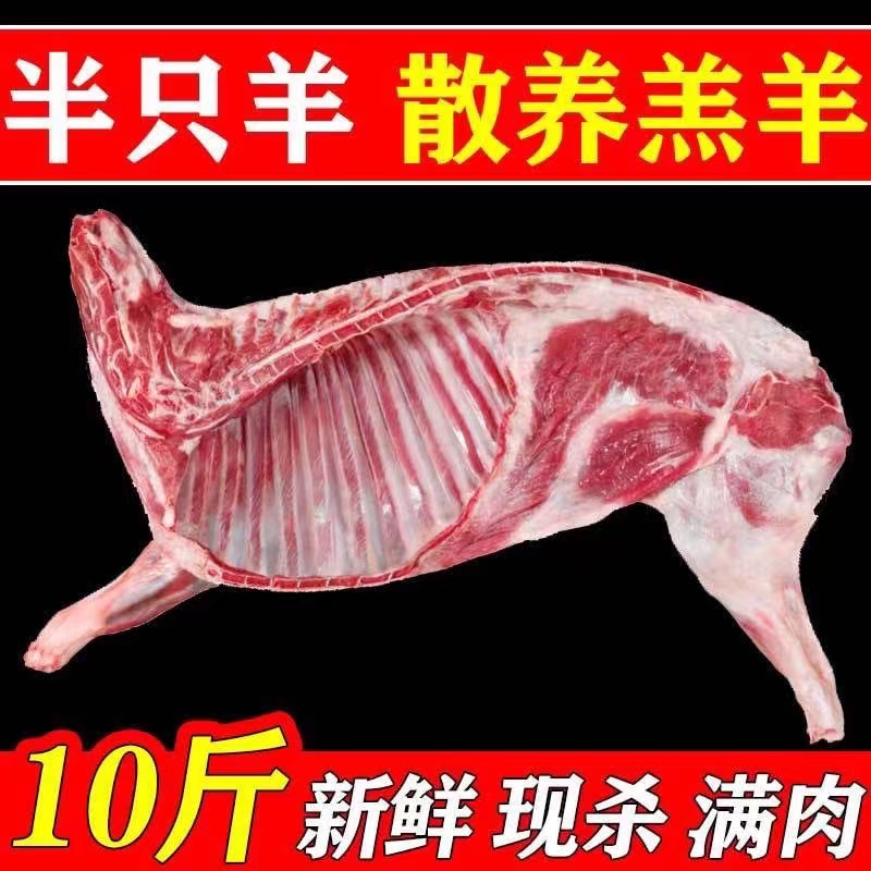 羊肉拍5斤送5斤半只羊原切0添加WY