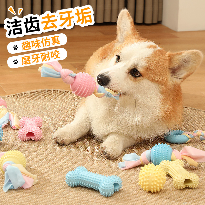 狗狗玩具耐咬磨牙棒中小型犬柯基泰迪自嗨解闷弹力橡胶球宠物用品