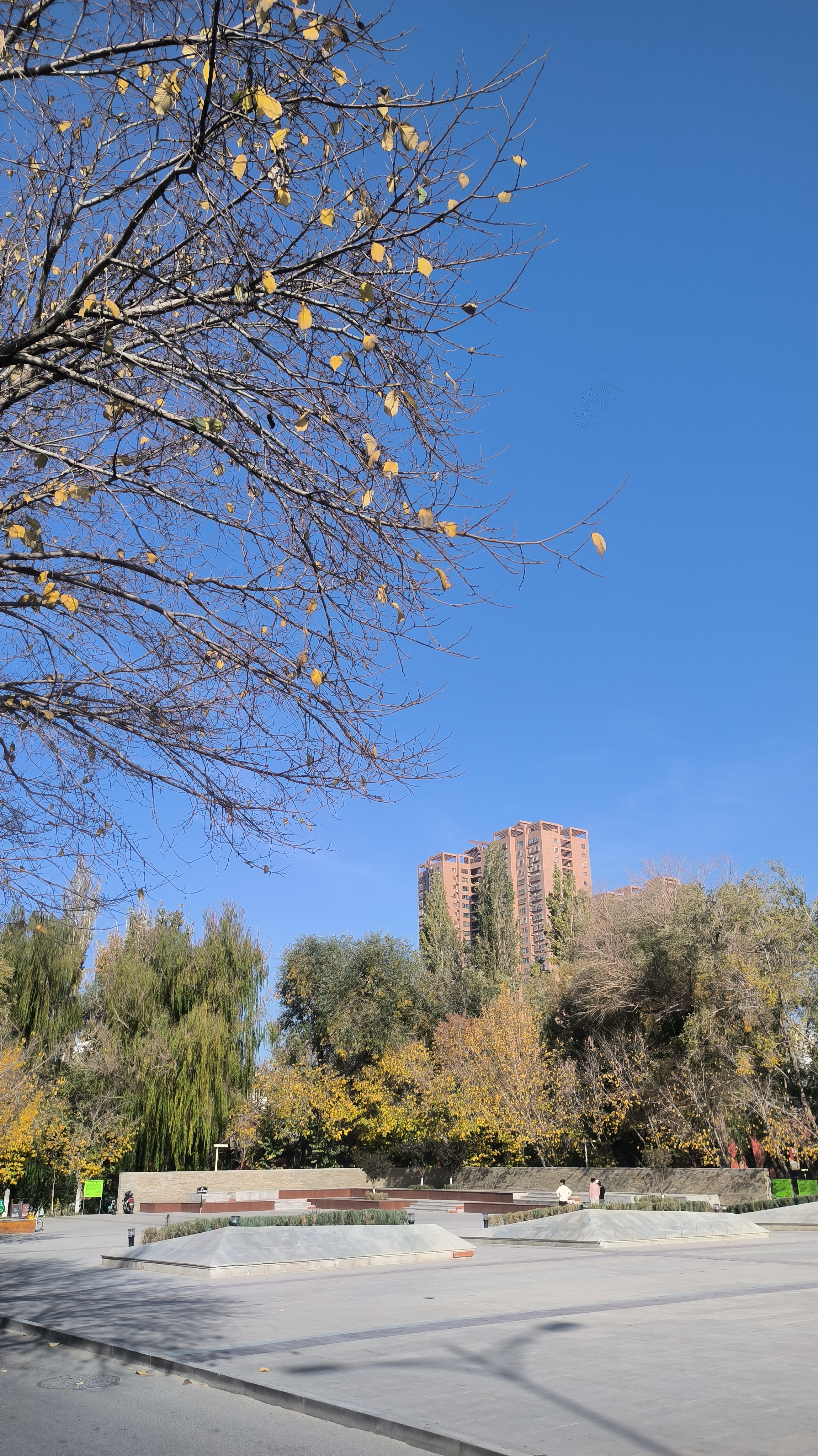 全疆包邮no退no换孤品捡漏外套链接