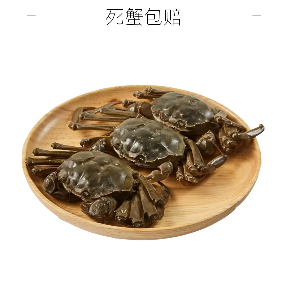 【活蟹】大闸蟹母蟹     2.8-3.0两4只10只       顺丰冷链只只包活