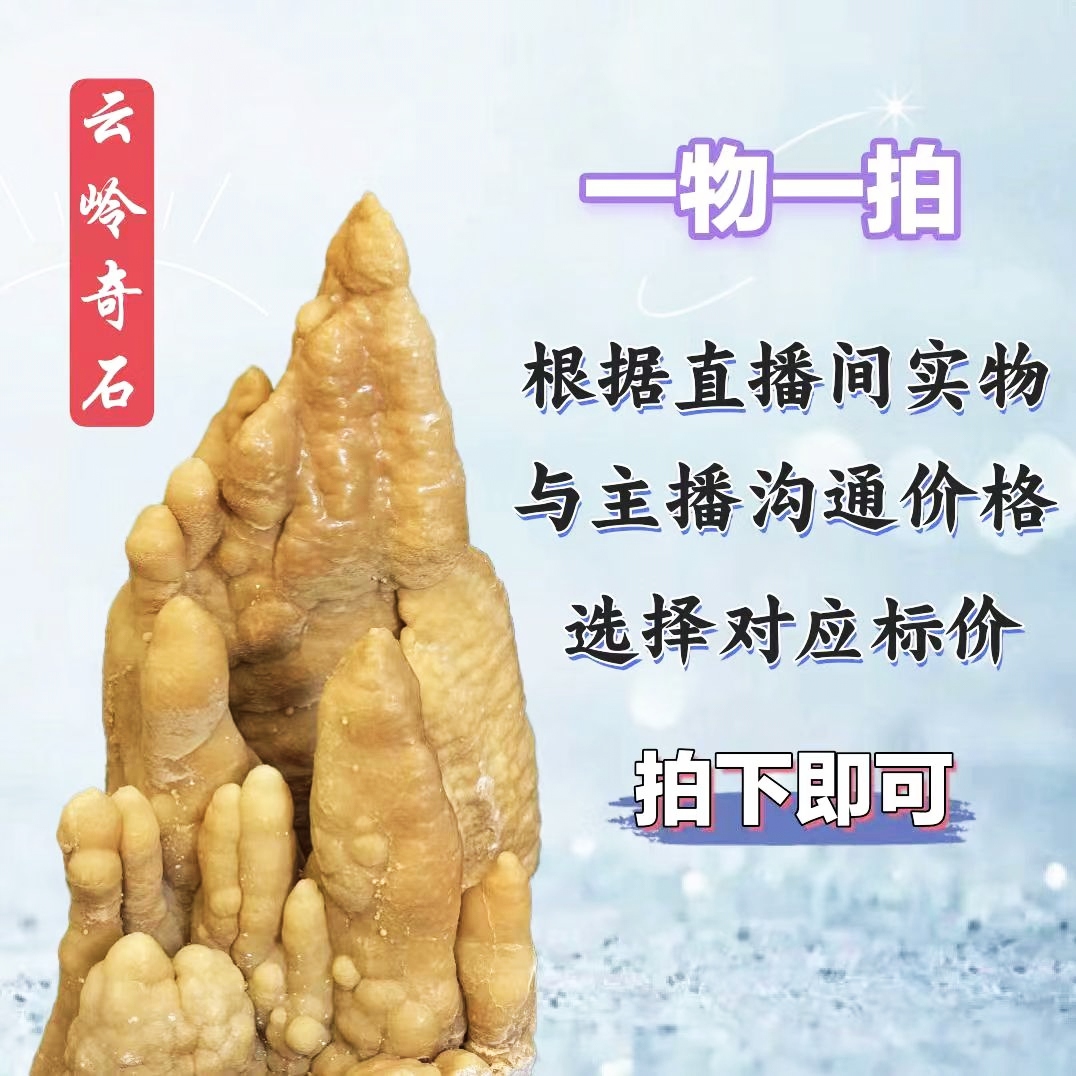 喀斯特地貌溶洞狮子奇石摆件，适合家居、鱼缸、绿植、庭院、园林造景。