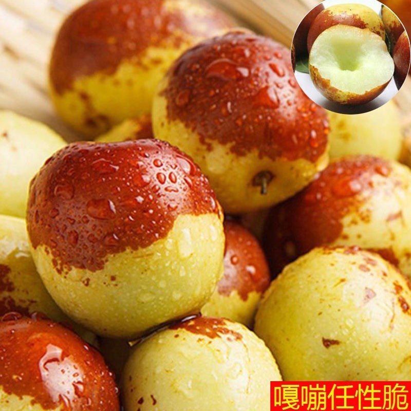 正宗沾化二代冬枣冰糖冬枣果园现摘新鲜应季水果