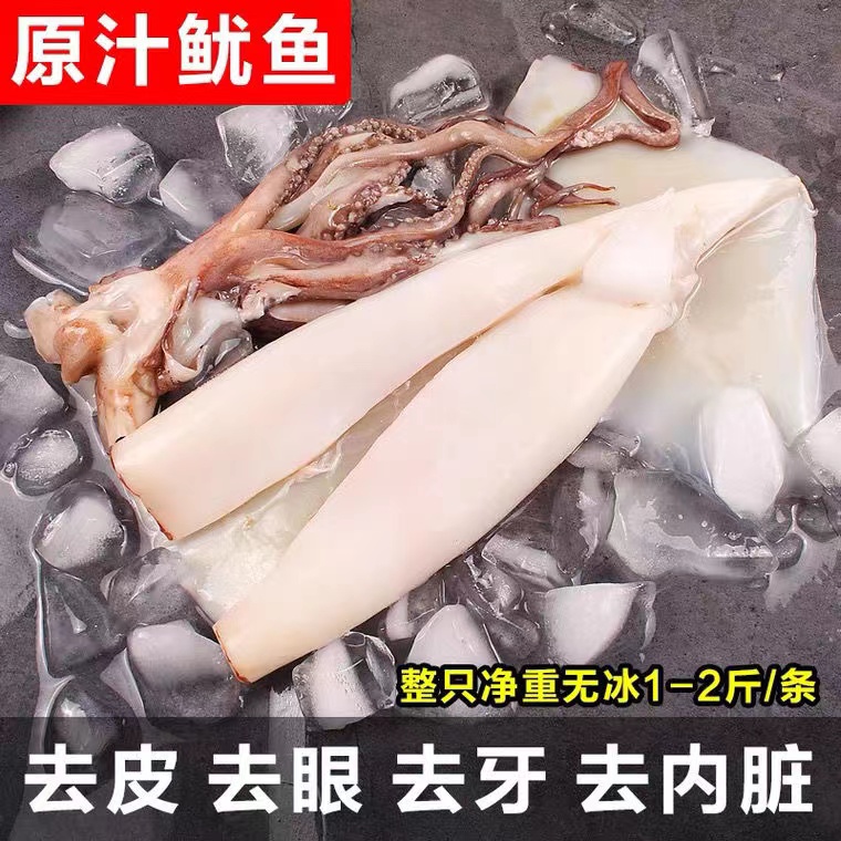 新鲜鱿鱼去皮去眼去内脏净重冷冻锁鲜冷链运输