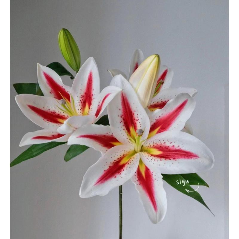 【英英鲜花】笑脸 单瓣香水百合 任意2单升级顺丰/德邦发货后不支持