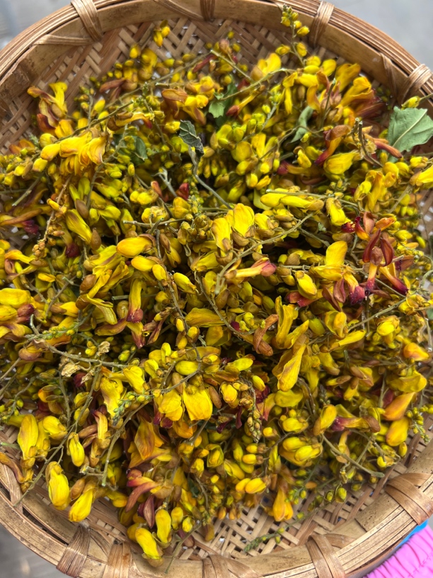 包邮干小雀花250克金雀花云南特产
