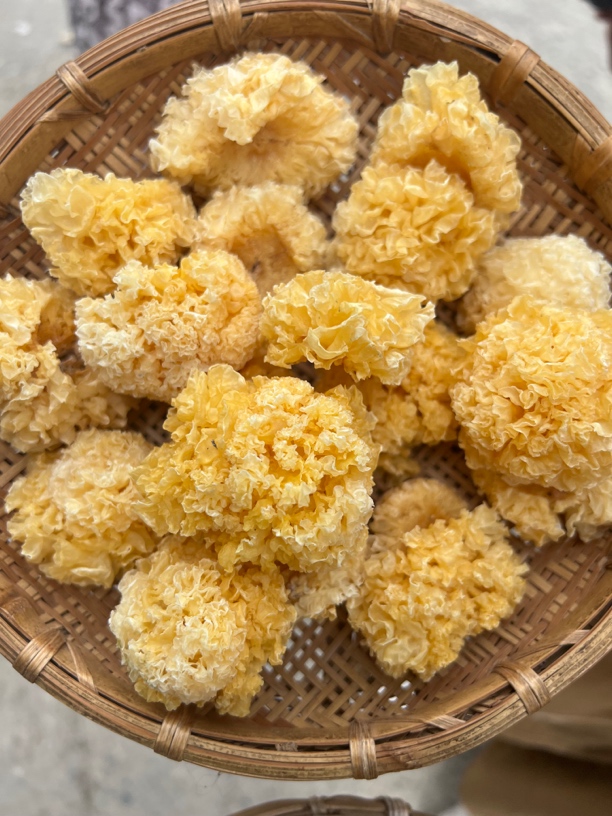 包邮银耳500克云南特产