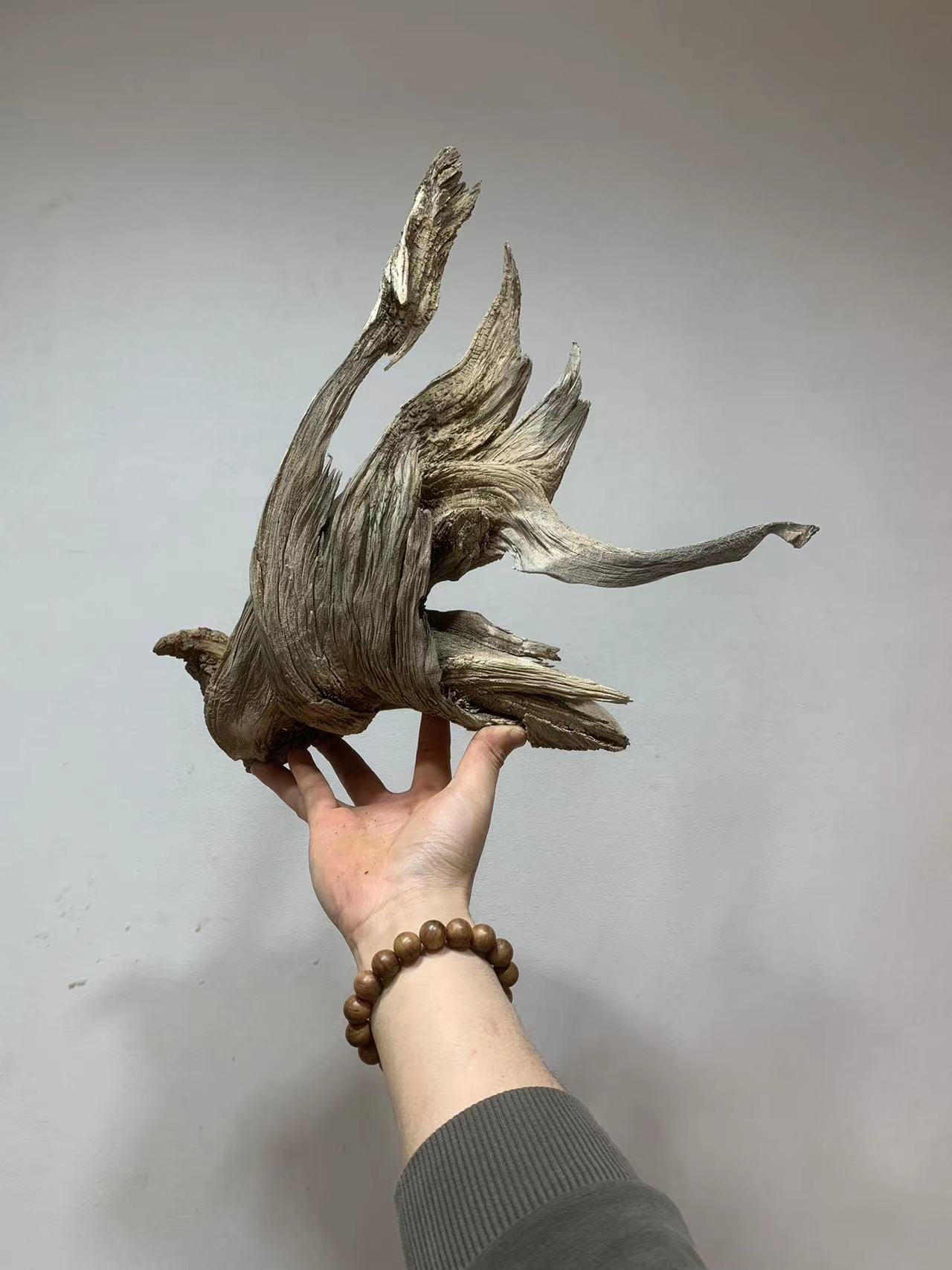 太行崖柏毛料直播链接