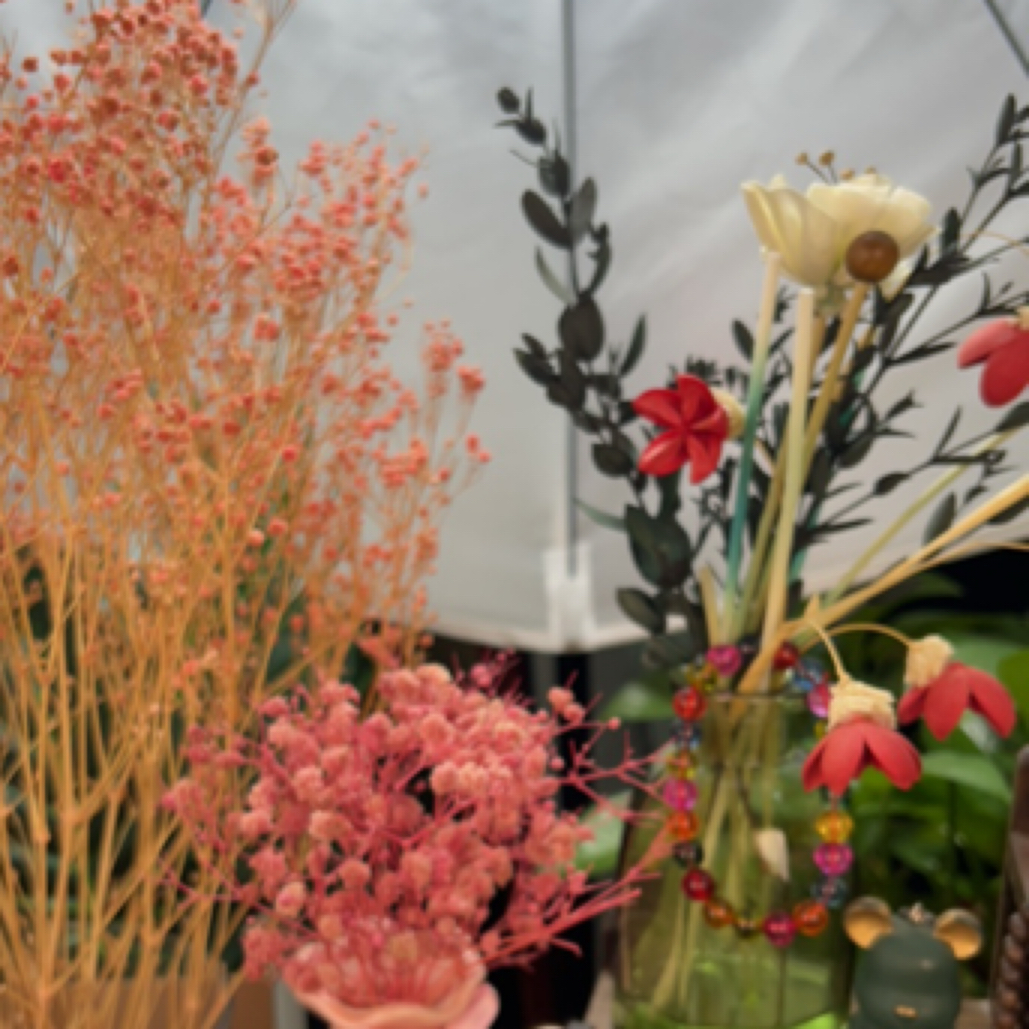 1-螽庆鸣虫用品专属链接