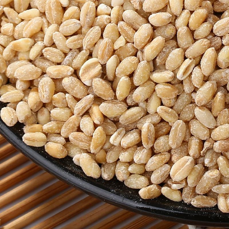 小麦仁 食用小麦米去皮小麦新麦脱皮小麦仁农家河南麦子新货营养