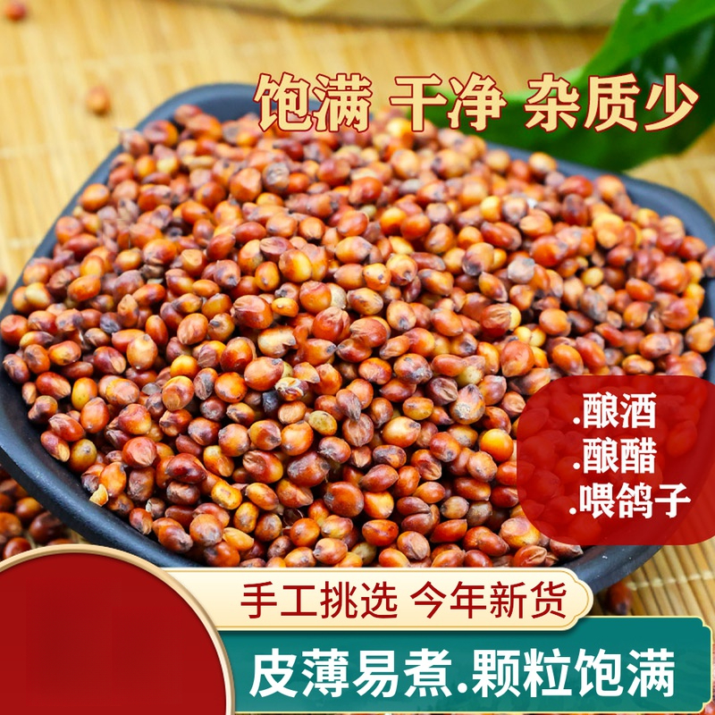 带皮红高粱米 去壳未脱皮红高梁酿酒高粱喂鸽子饲料散装包邮
