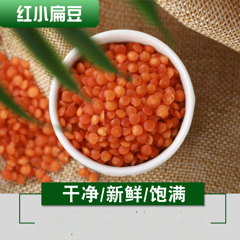 新货红小扁豆包邮农家五谷杂粮粗粮红扁新货小扁豆番茄红扁豆新鲜