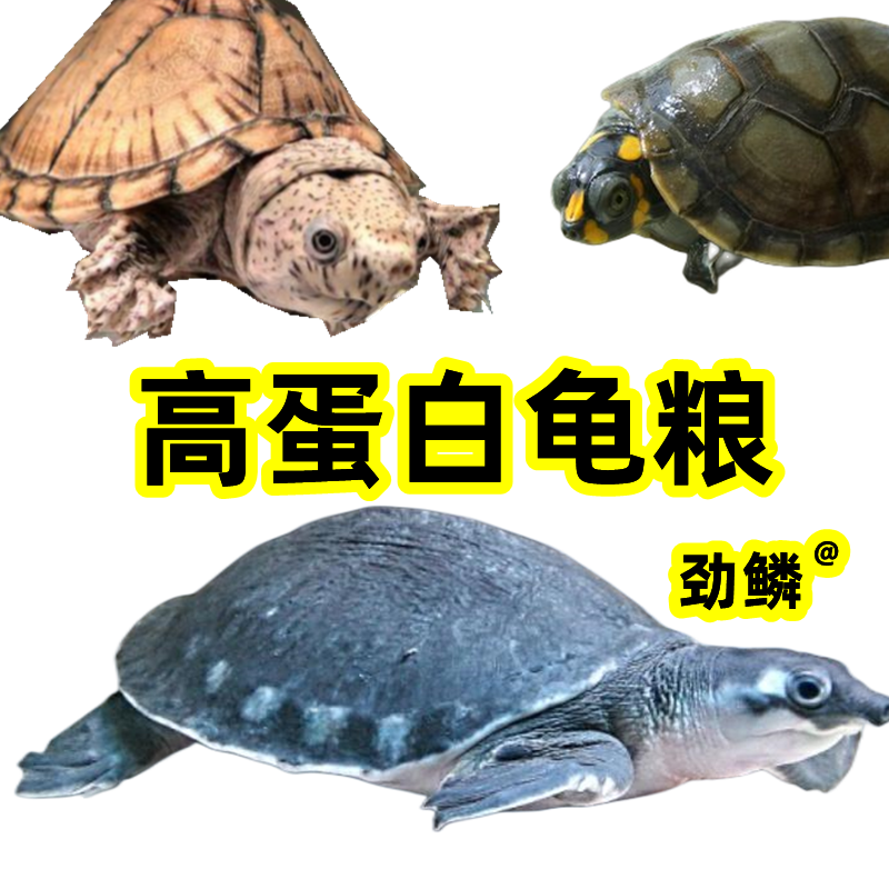 劲鳞猪鼻龟黄头龟剃刀龟，高蛋白龟粮1000克