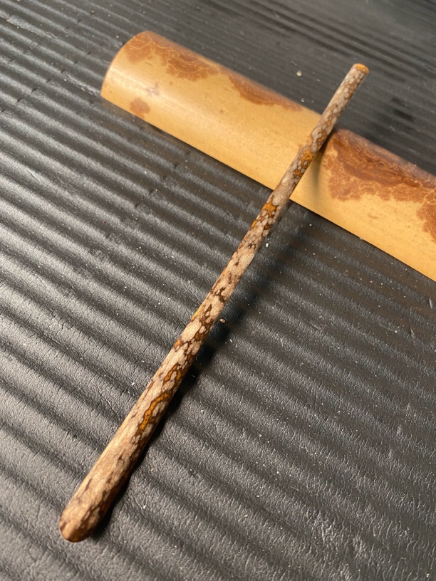 九疑山白花梅鹿竹拔