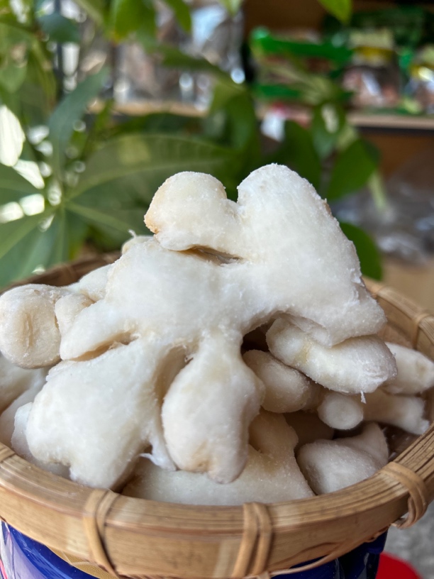 盐姜500克/1500克纯盐姜