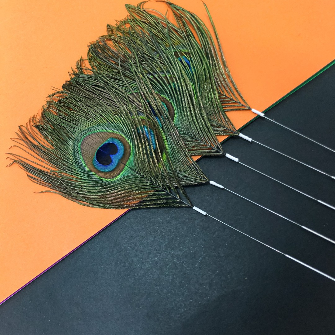 专业采耳工具银针大孔雀毛面部撩拨舒缓大羽毛掏耳朵耳浴放松神器