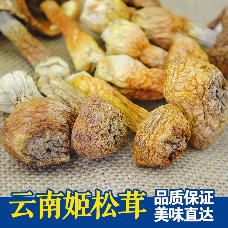 姬松茸云南香格里拉高原姬松茸500克巴西菇干货包邮