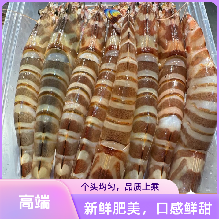 《大连渤海》 基围虾保鲜保肥 不包活