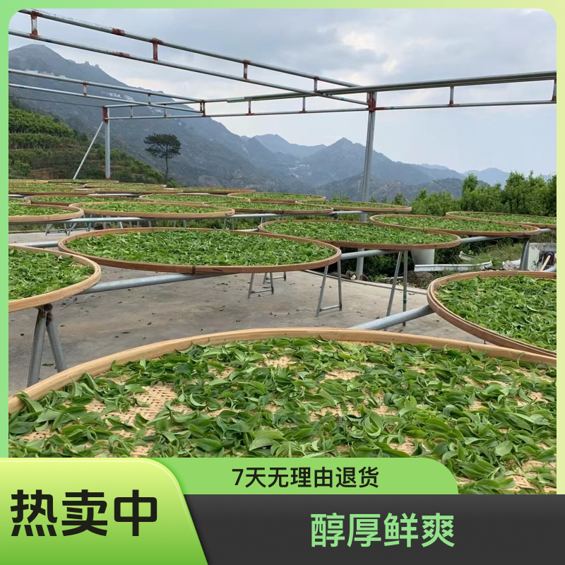 凤凰单丛茶坪坑头鸭屎香